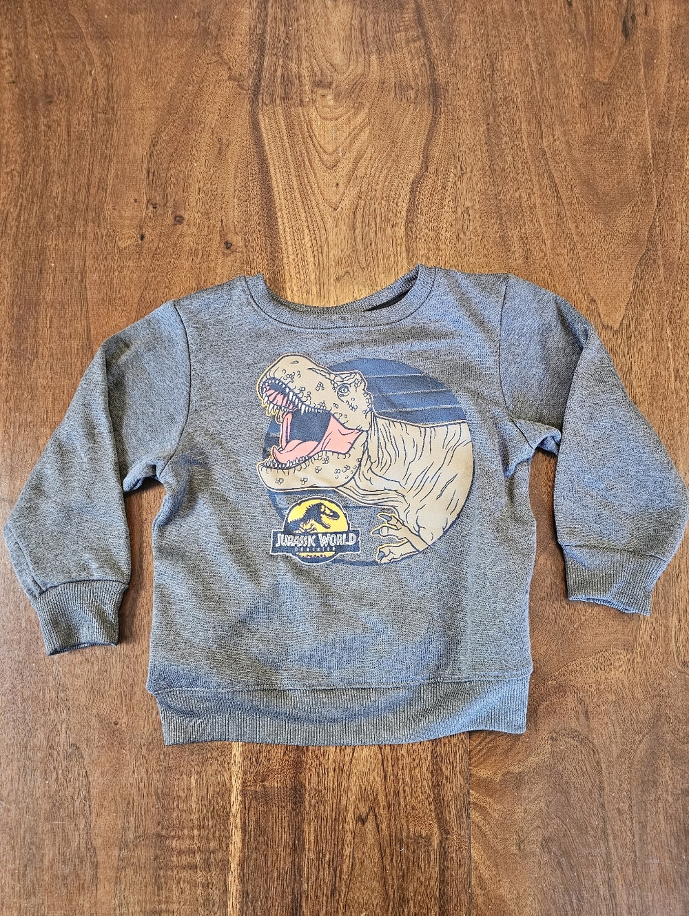 Jurassic World Official Boys Size 7 Sweatshirt With dinosaur
